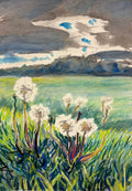 Dandelions