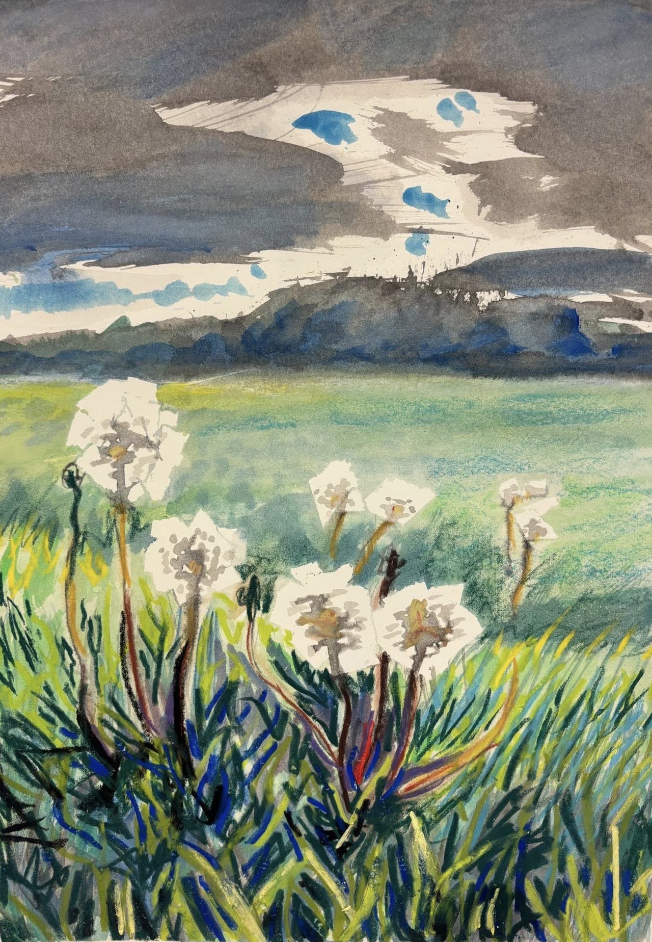 Dandelions
